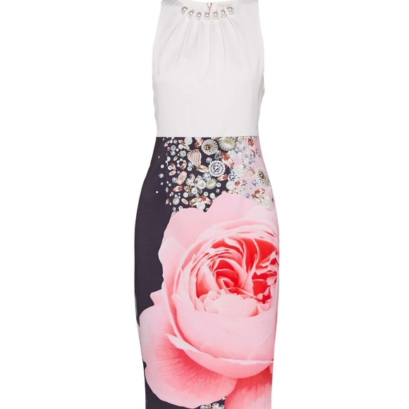 Blenheim Palace Embellished Body-Con Dress - Picture 2 of 8